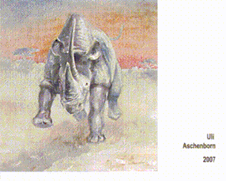Video g: Attacking Rhino, by passing this chameleon-painting its colour changes as shown, 2007, 100 x 100 x 4 cm