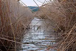 Looks like this Site of Community Interest has an image. Don't worry, you can take one of your own, and upload it too!