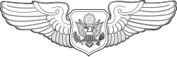 Aircrew Badge (Officer)
