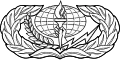 Services Badge (Enlisted)