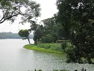 Image 25Upper Seletar Reservoir (from Geography of Singapore)