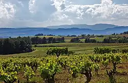 Looks like this Site of Community Interest has an image. Don't worry, you can take one of your own, and upload it too!