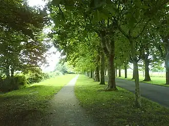 An avenue in Varennes-le-Grand