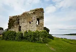 Ruins of Vasknarva Castle