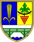 Coat of arms of Municipality of Videm