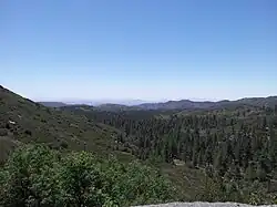Forest view near the town of Mount Laguna