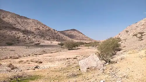 Wadi Naqat. Little slope in most of its course
