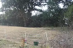 Part of the linear boundary known as the Wansdyke 210 m north west of Cottles