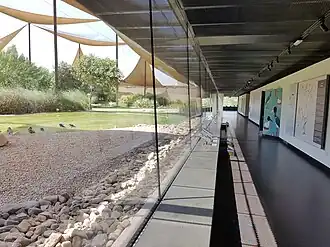 Wasit Wetland Centre, Sharjah, UAE