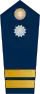 Blue epaulette with a silver button and 2 big golden stripes