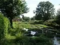 Ewelme Watercress Beds