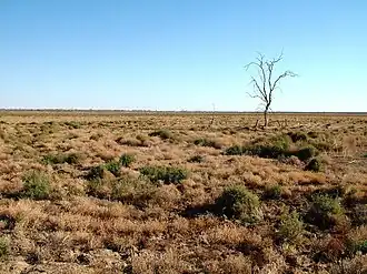 Dry bed of Lake Pinaroo