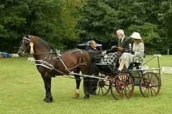Two people in a carriage with a harnessed horse standing in front