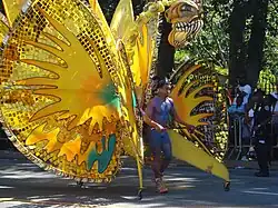 Costumes in West Indian Day parade (2008)
