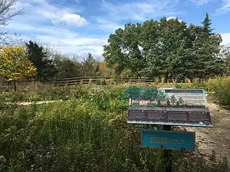 Nature's Sanctuary natural burial section