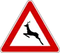 Deer on road ahead