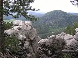 View from the Wilhelminenwand