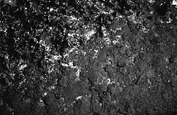 Without Without Title, detail of picture