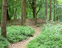 Bronze Age tumulus near Wohlde