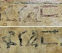 Word "Aamu" (from right to left) in two Egyptian scripts, in the