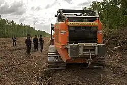 Picture of deforested area with forestry workers