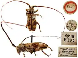 Species specimen