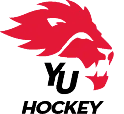 York Lions athletic logo