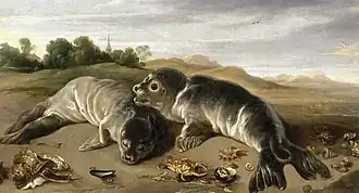 Paul de Vos, Two young seals on the shore, c. 1650, oil on canvas, 80 × 164 cm.