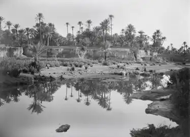 Unidentified oasis in Chad, photographed  1930